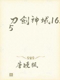 刀剑神域16.5