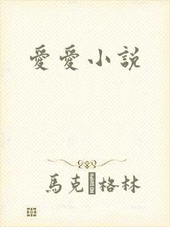 爱爱小说