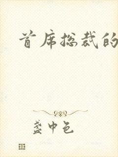 首席总裁的逃妻