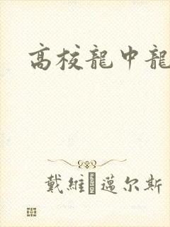 高校龙中龙