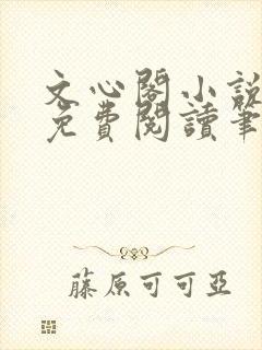 文心阁小说全文免费阅读笔趣阁