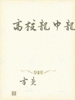 高校龙中龙