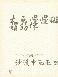 大龟慢慢挺进张娟的休