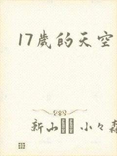 17岁的天空