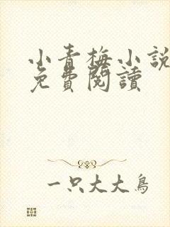 小青梅小说全文免费阅读