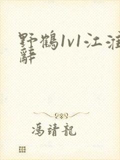 野鹤1v1江淮辞