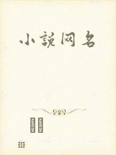 小说网名