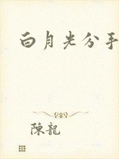 白月光分手日常