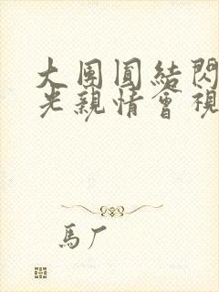 大团圆结闪闪发光亲情会视频