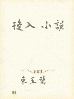 后入 小说