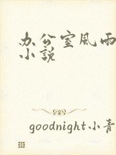 办公室风雨完整小说