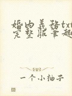 婚内义务txt完整版笔趣阁