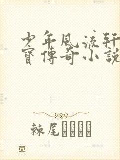 少年风流轩辕大宝传奇小说