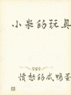 小米的玩具日记