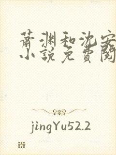 萧渊和沈安安的小说免费阅读