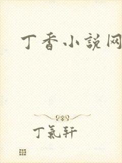 丁香小说网