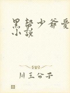 黑帮少爷爱上我小说
