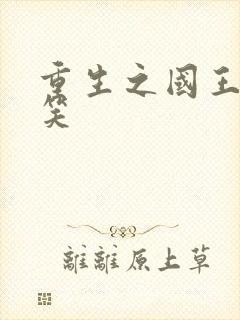 重生之国王的微笑