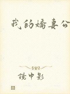 我的娇妻公务员