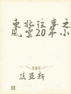 东北往事之黑道风云20年小说