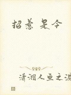 招惹 是今
