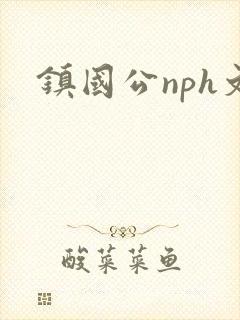 镇国公nph文
