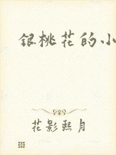 银桃花的小说