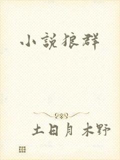 小说狼群