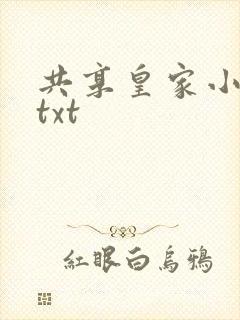 共享皇家小公主txt