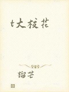 t大校花