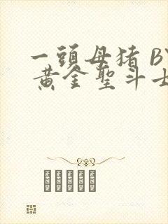 一头母猪 BY 黄金圣斗士