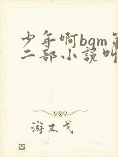少年啊bgm第二部小说叫什么