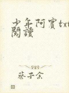 少年阿宾txt阅读