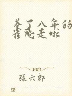 养了八年的金丝雀飞走啦