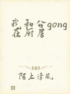 我和公gong在厨房