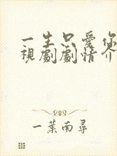 一生只爱你 电视剧剧情介绍