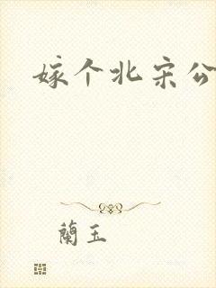 嫁个北宋公务员