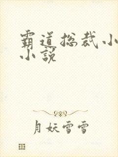 霸道总裁小娇妻小说