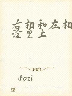 右相和左相一起淦皇上