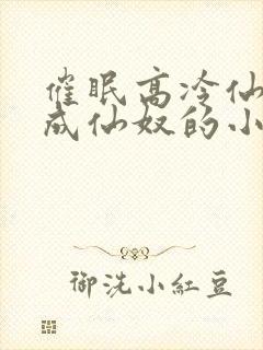 催眠高冷仙奴变成仙奴的小说