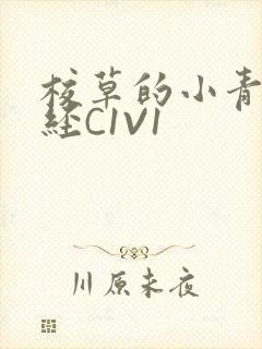 校草的小青梅不经C1V1