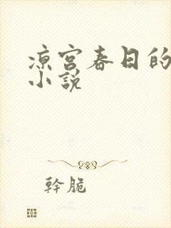 凉宫春日的忧郁小说