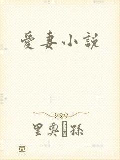 爱妻小说
