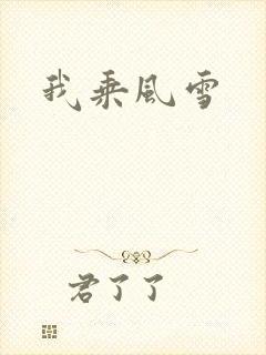 我乘风雪