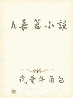 h长篇小说