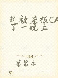 我被老板CAO了一晚上