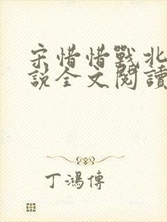 宋惜惜战北望小说全文阅读