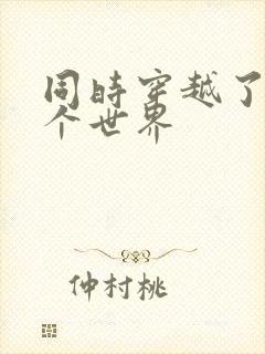 同时穿越了99个世界