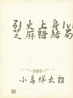 引火上身1v1芝麻糖结局