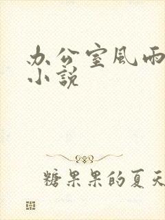 办公室风雨完整小说